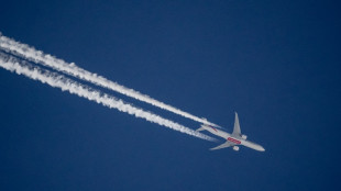 Aerol&iacute;nea Emirates proh&iacute;be b&iacute;peres y walkie-talkies a bordo tras explosiones en L&iacute;bano