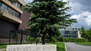 EEUU investiga la revista de Harvard por "discriminación racial"