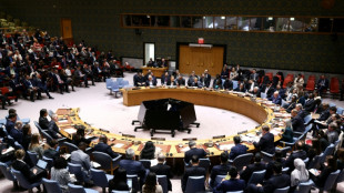 UN Security Council vote expected on Hormuz resolution