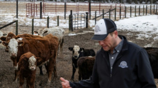 US cattle farmers caught between high costs and weary consumers