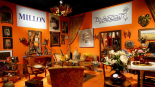 Objets personnels et souvenirs de Brigitte Bardot aux ench&egrave;res &agrave; Paris